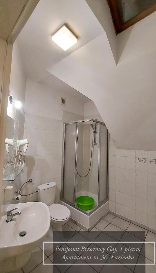 Brzozowy Gaj - Pensjonat Karpacz Exterior foto